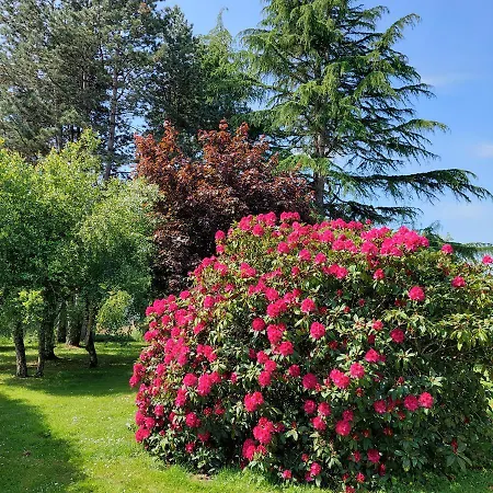 Guest house La Cressonniere 56 Missiriac